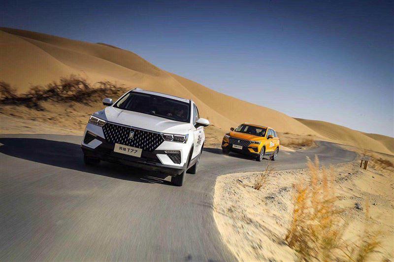 红旗品牌汽车12月销量的深度解析，红旗品牌汽车12月销量的深度剖析与解读