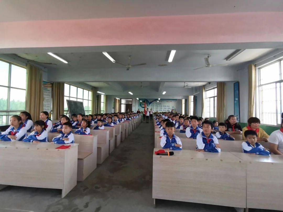 四年级新闻摘抄，一则关于环保的新闻报道，四年级环保新闻摘抄，关注环境保护的最新动态