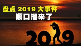 最新新闻点评