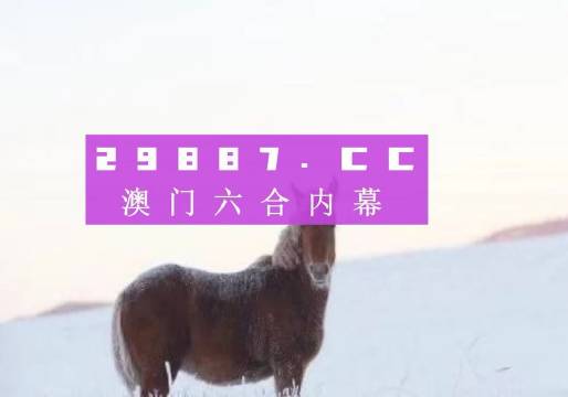 探索49图库下的浏览器世界，49图库下的浏览器世界探索