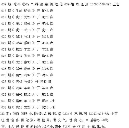 一肖中码，探索彩票世界的神秘密码，揭秘彩票世界，一肖中码神秘密码探索