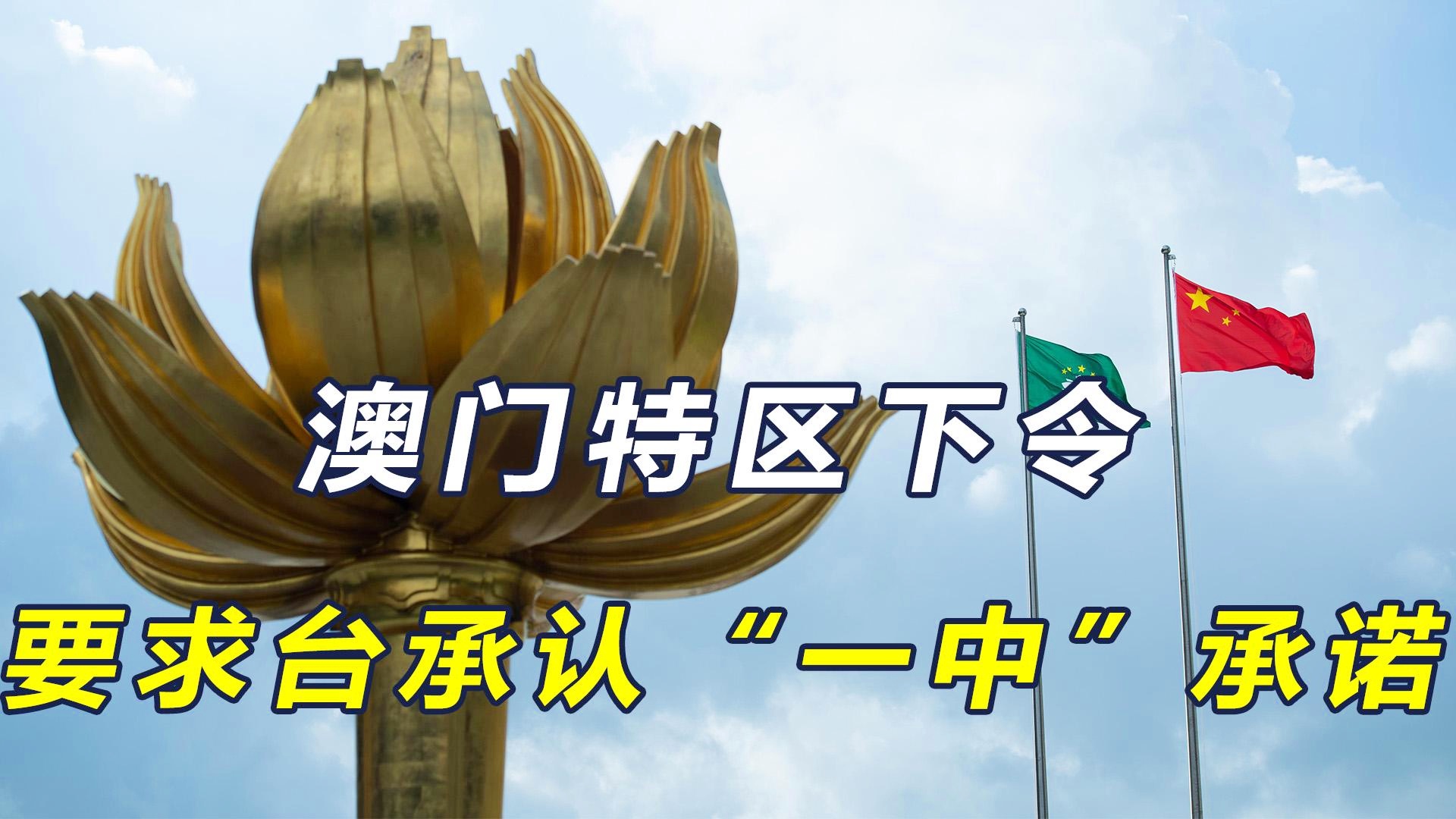 澳门一码一肖一待一中四不像，探索神秘与魅力的交汇点，澳门神秘魅力交汇点，一码一肖一待一中四不像的探索