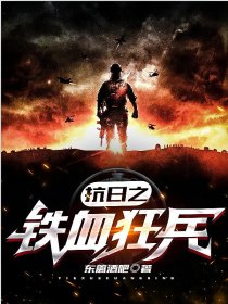 铁血抗日之1938，全视角阅读深度解析，铁血抗日之全视角深度解析，1938年的历史与反思
