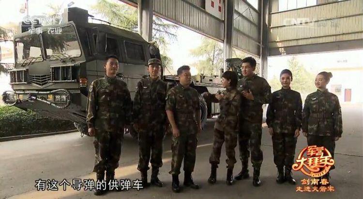长剑-10巡航导弹，价值与技术投入的考量，长剑-10巡航导弹，价值与技术投入的深度探讨