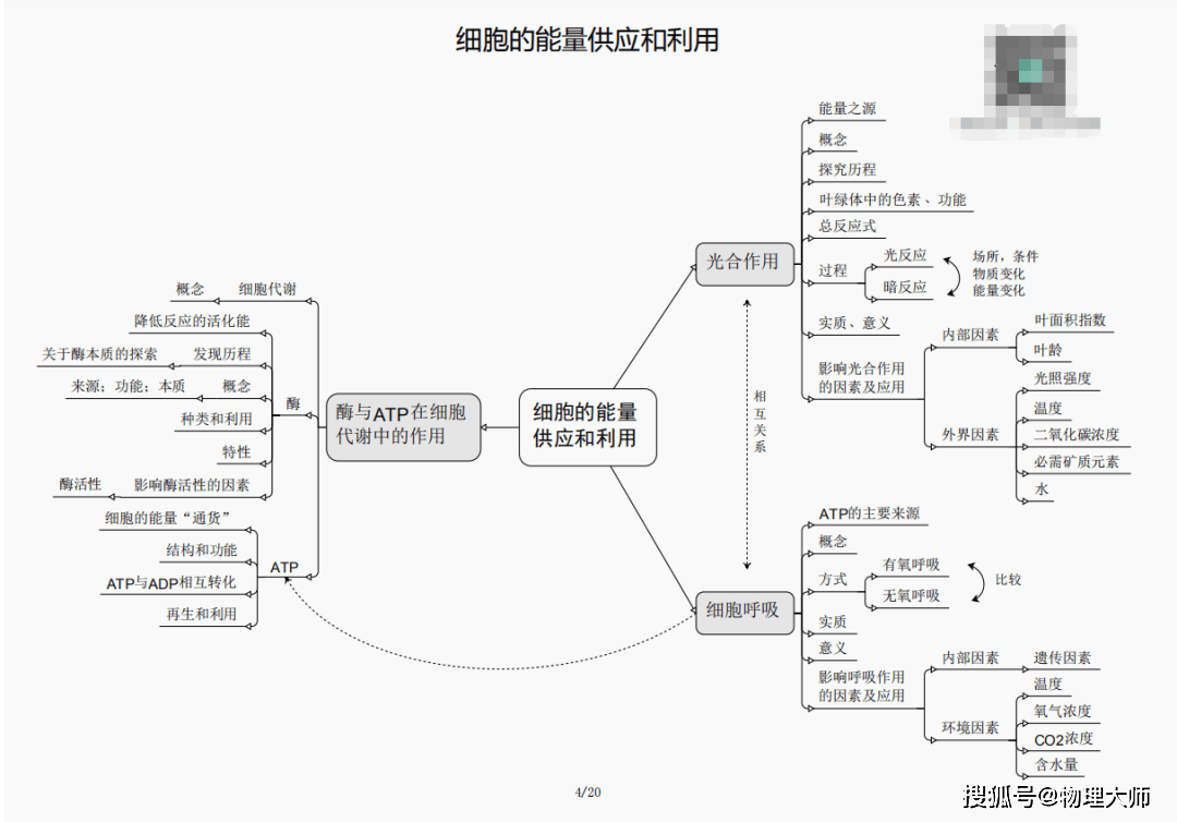 王中王三肖四期必开一肖——揭秘彩票背后的秘密，揭秘彩票背后的秘密，王中王三肖四期必开一肖解析