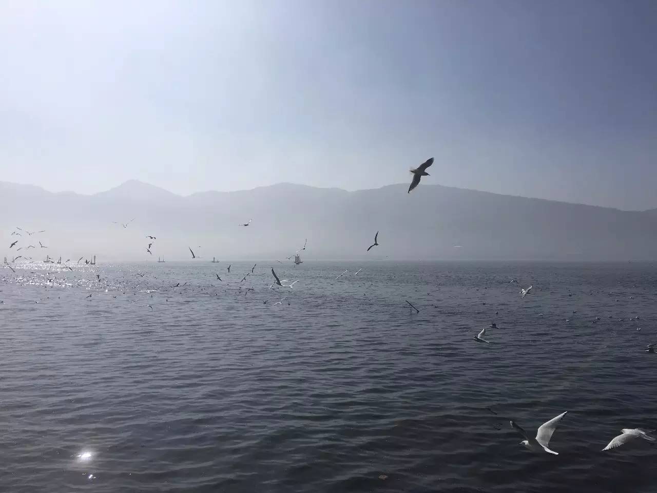 平和是什么意思,平和的意义,探索内心宁静的奥秘