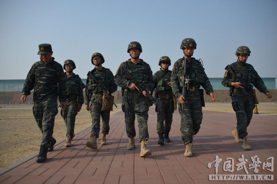 中国特战部队概览，中国特战部队全面概览