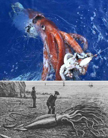 神秘4战斗机,蓝天之上的利刃,神秘4战斗机,蓝天之上的利刃传奇