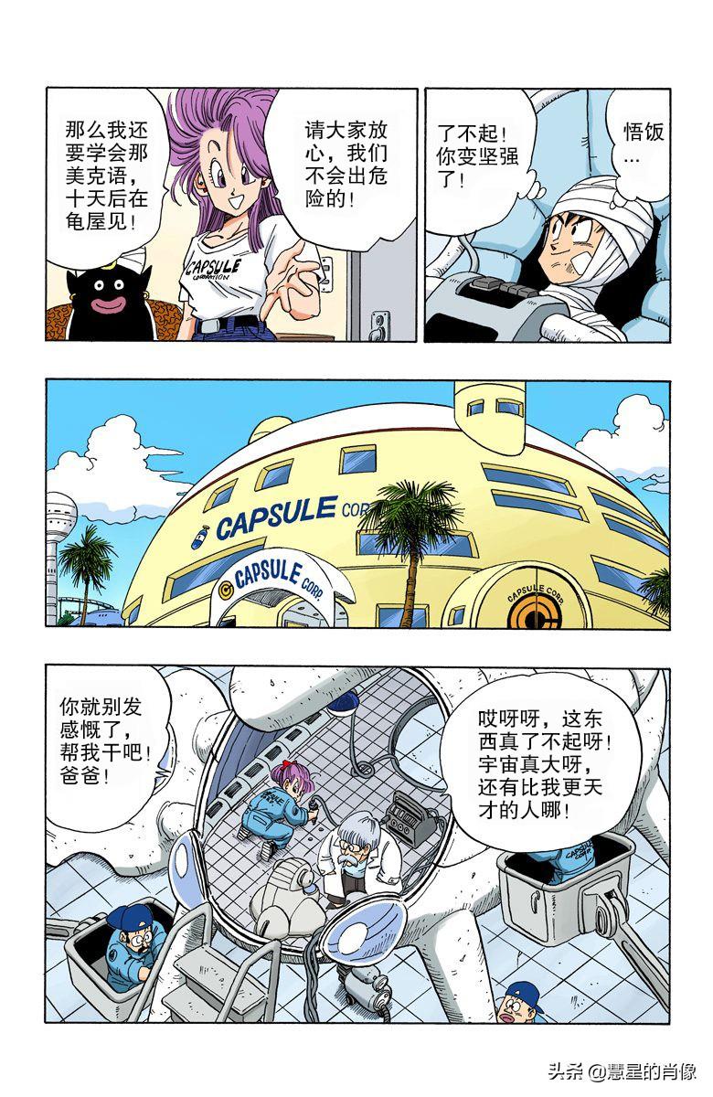 二四六天天彩资料大全网,探索数字世界的宝藏之地,二四六天天彩资料大全网,数字世界的宝藏探索地