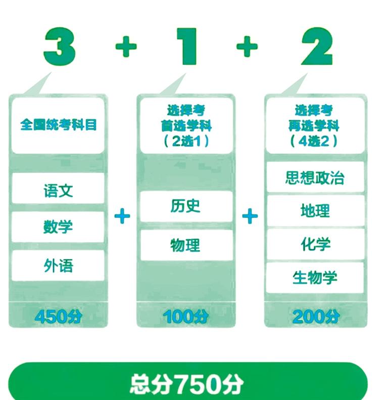 探索未来，2025新澳免费资料绿波概览，未来探索，2025新澳绿波概览免费资料解析