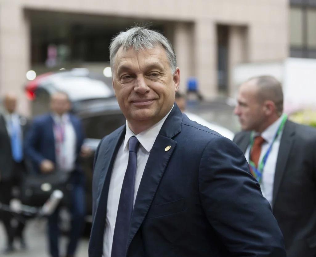 俄乌战场爆火图片,战争背后的复杂故事,俄乌战场爆火瞬间与战争背后的复杂故事