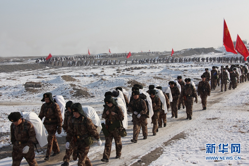 新疆军区总兵力概览,新疆军区总兵力概览揭秘