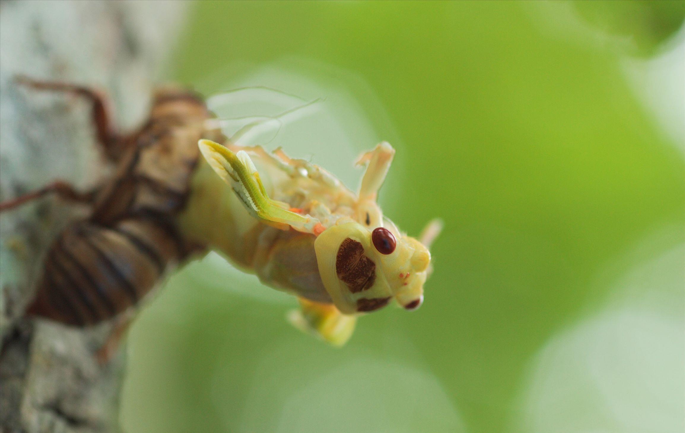 聚焦2021年七月最新新闻,时事点评与洞察,2021年七月时事点评与洞察