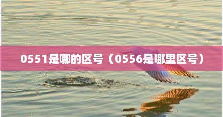 揭秘神秘的区号0551，究竟是哪个地区的电话代号？，揭秘，区号0551究竟属于哪个地区？