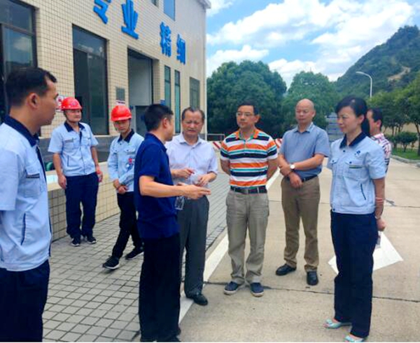 湖南军信环保集团有限公司，环保领域的卓越先锋，湖南军信环保集团，环保领域的卓越先锋典范