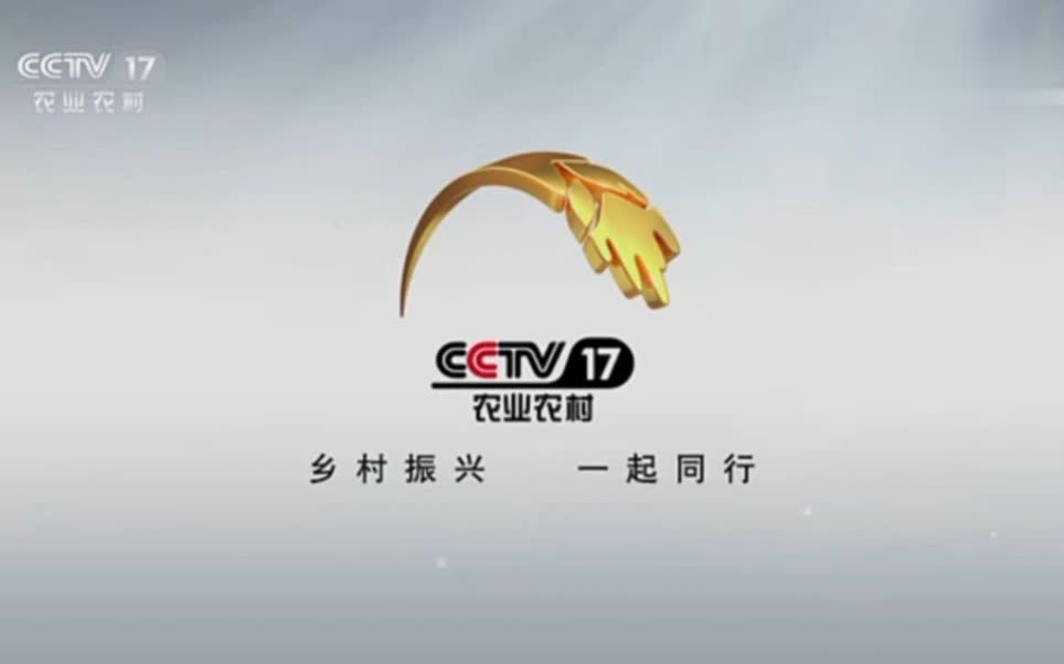 CCTV7聚焦三农广告，展现乡村振兴的生动实践，CCTV7聚焦三农广告，乡村振兴的生动实践全景展示