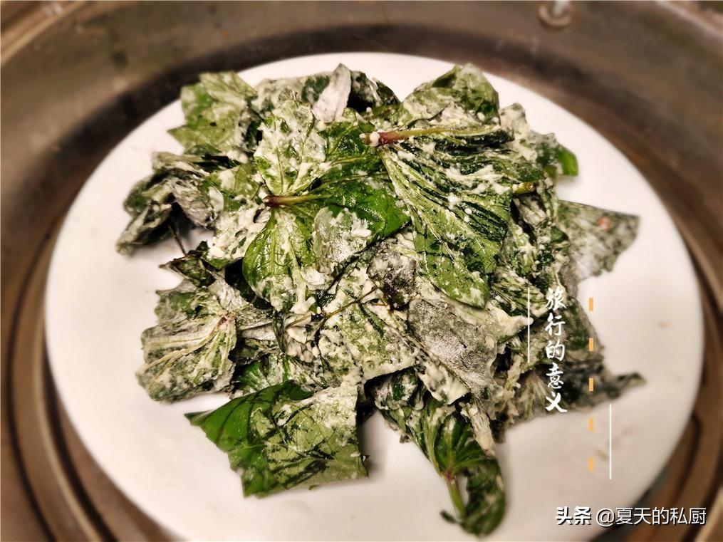 今天大暑，炎热中的生机与宁静之美，大暑之日的生机与宁静，炎热中的美丽交响曲