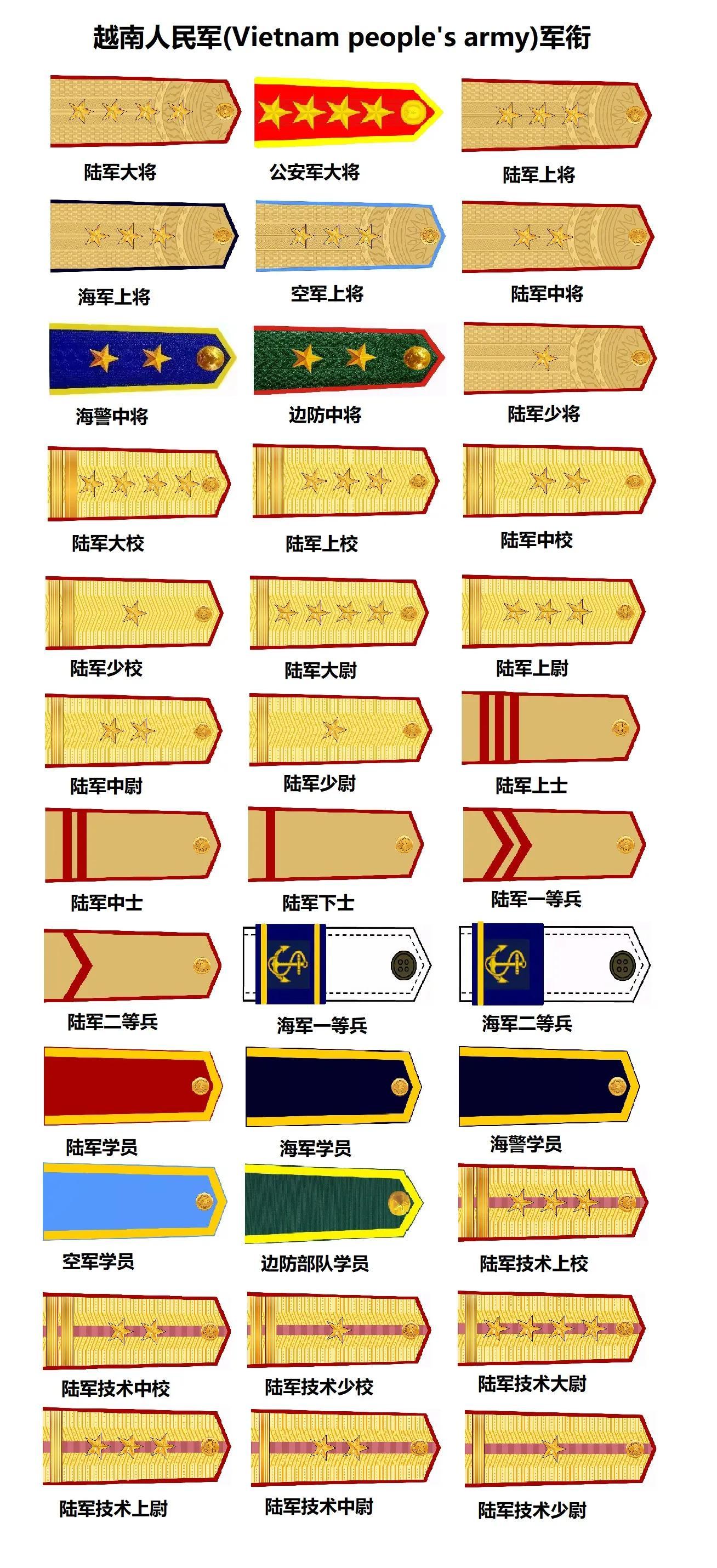 中国的现役军衔等级及标志，体系完善，层次鲜明，中国现役军衔等级与标志，体系完善、层次分明的军事荣誉标识