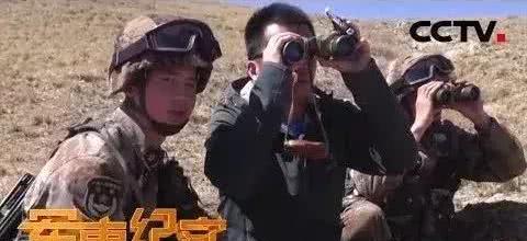 军事频道央视播的玛卡,功能、应用与当代价值,央视军事频道揭秘,玛卡的功能、应用与当代价值探索