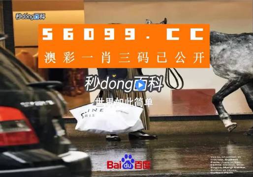 新澳一码三中三，探索与解析，新澳一码三中三，深度探索与解析