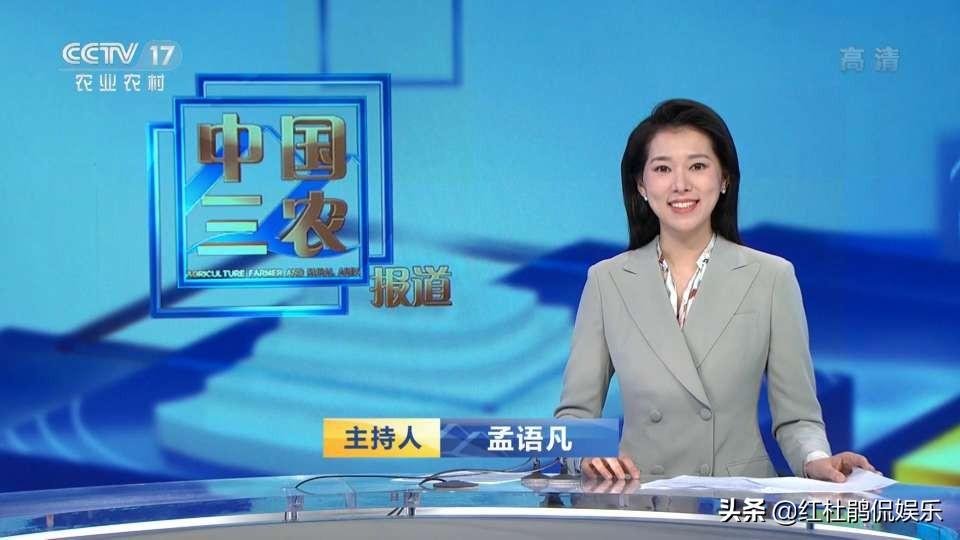 世界新闻报道，全球时事报道