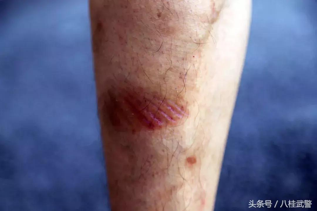 女生参军，走向未来的力量之源（2023年观察），女生参军，走向未来的力量之源——2023年观察报告