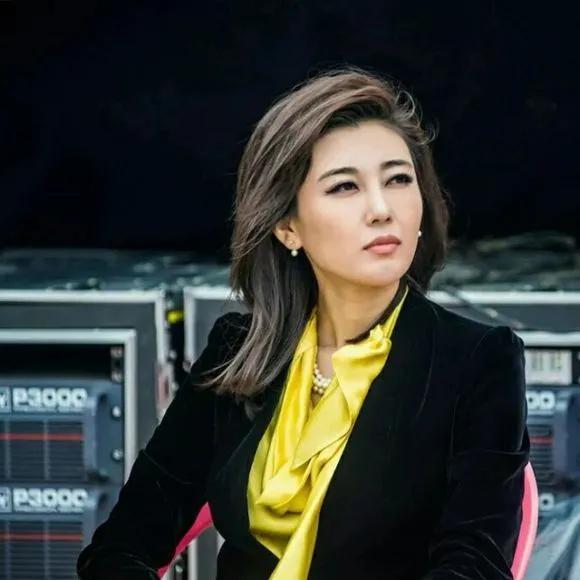 央视最漂亮的女主持——令人瞩目的光芒,央视最漂亮女主持,瞩目光芒闪耀全场