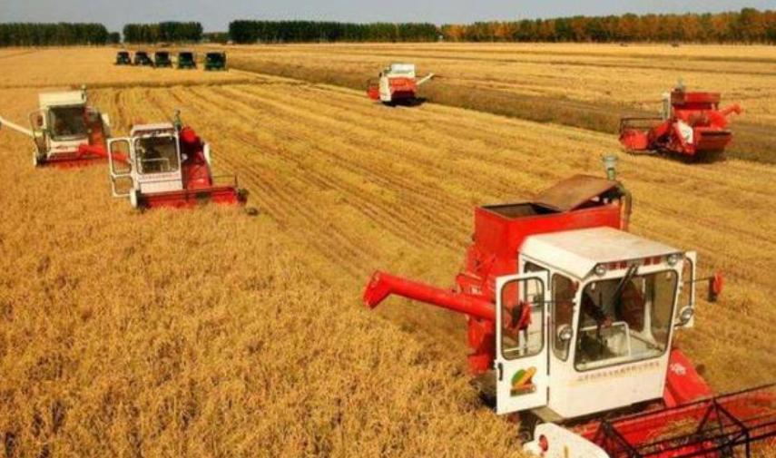 为什么中国人都希望俄罗斯赢?,中俄友好背后的深层原因,为何中国人希望俄罗斯赢?