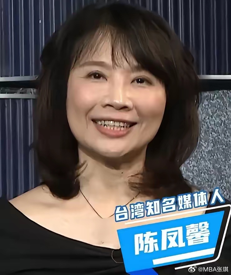 陈凤馨与海峡两岸的情缘，陈凤馨与两岸情缘深度解析