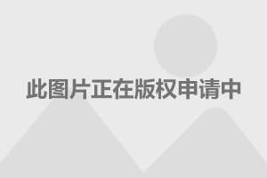 国产大飞机发动机的生产力量，探究中国发动机制造商的崛起之路，探究中国国产大飞机发动机制造商的崛起之路