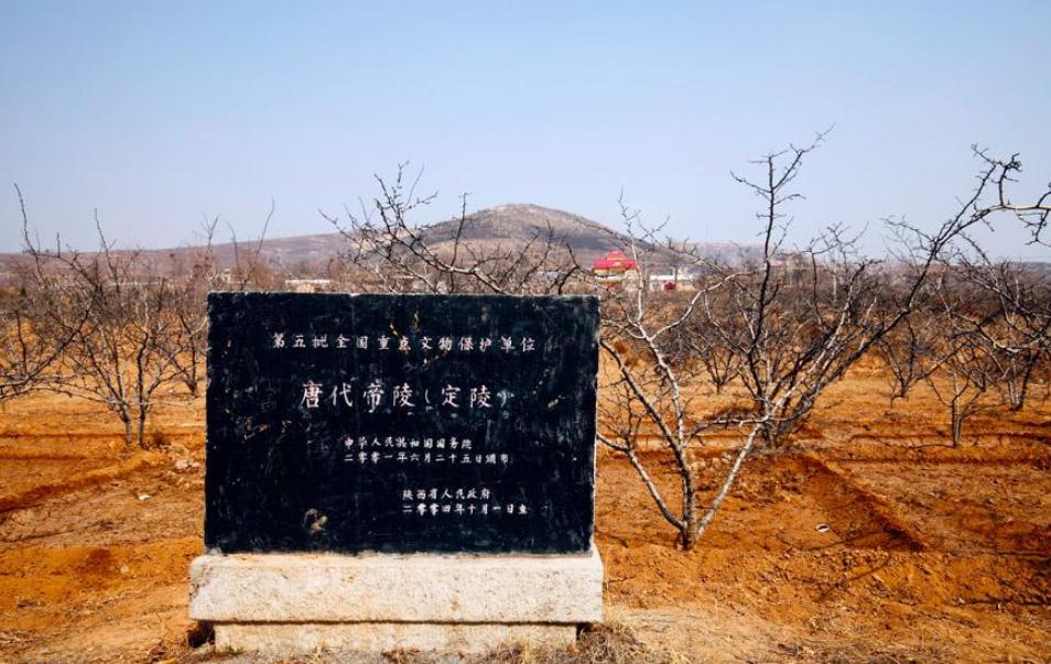 雄风3型反舰导弹，揭示其技术特性与战略价值，雄风3型反舰导弹，技术特性与战略价值深度解析