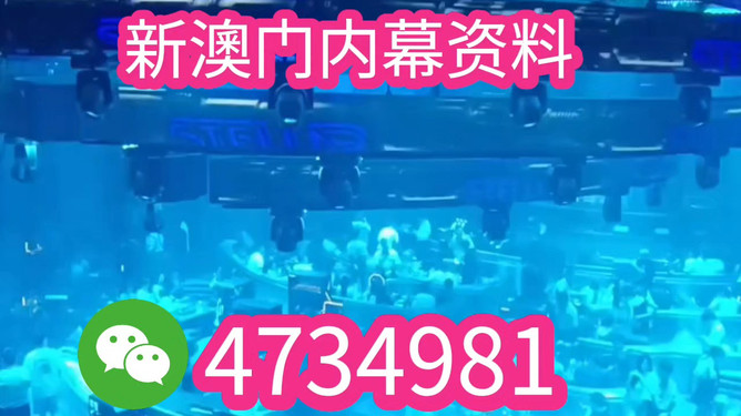 澳门王中王今晚最快开奖——探寻彩票背后的故事与魅力，澳门王中王彩票背后的故事与魅力探寻，今晚最快开奖揭秘