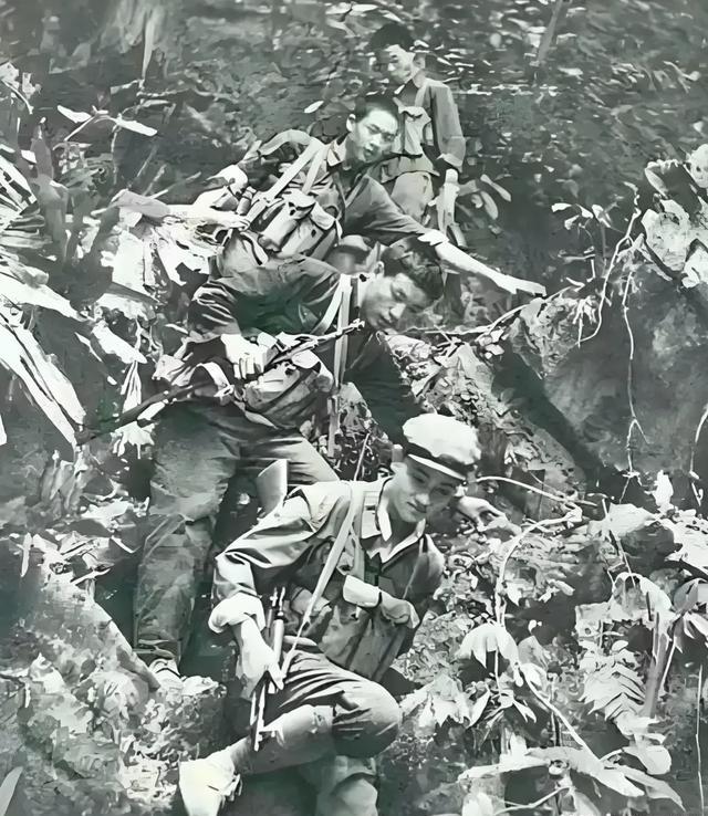 英勇无畏的抵抗,第十四集团军自卫反击战经历,英勇无畏的抵抗,第十四集团军自卫反击战历程回顾