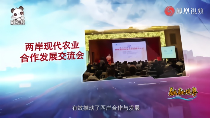今天海峡两岸视频，深化交流，共融发展的桥梁，海峡两岸视频交流，深化合作，共融发展的桥梁