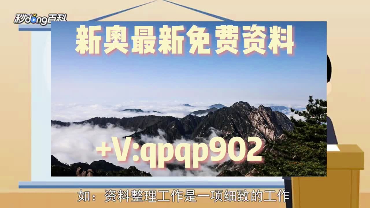 新奥2025年免费资料大全概览，新奥2025年免费资料大全全面解析