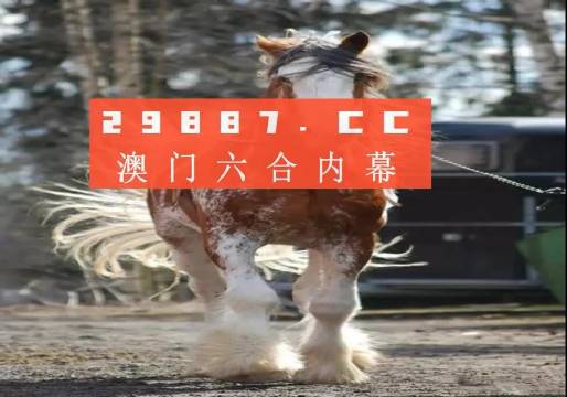 探究平特一肖金码论坛王中王的奥秘与价值，平特一肖金码论坛王中王奥秘与价值探究