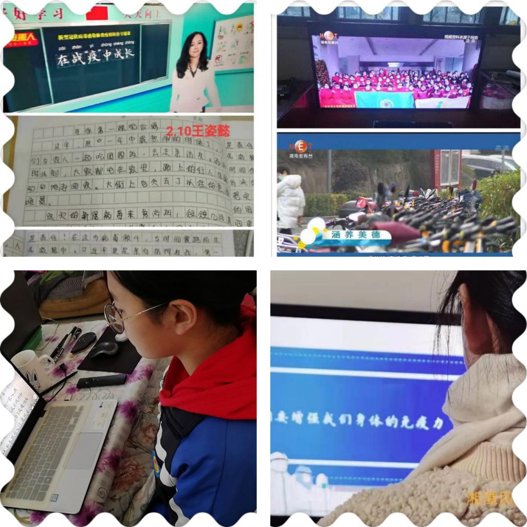 国防网站的深度洞察,国家安全与数字化时代的融合,国防网站深度洞察,国家安全与数字化时代的紧密融合