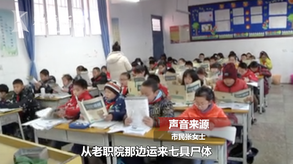 中心小学死人案件,深度探究与反思,中心小学死人案件,深度探究与反思背后的真相与教训