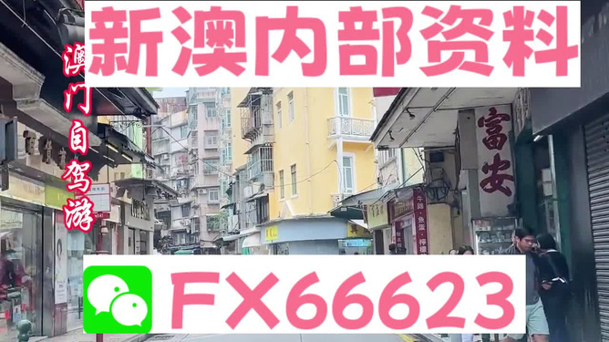 新澳精准资料，助力决策与成长的无价资源，新澳精准资料，决策与成长的必备资源