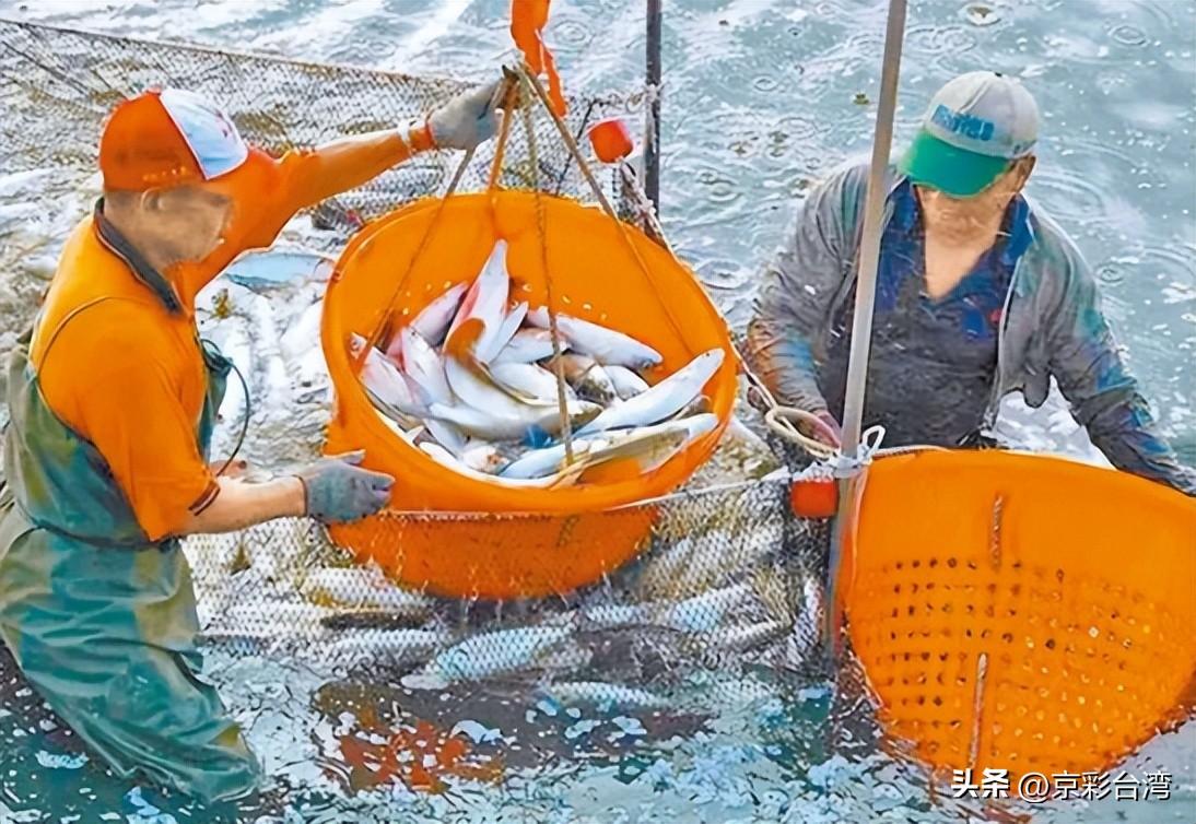 ECFA对台湾的影响,深化经贸合作,促进经济发展,ECFA对台湾经贸合作的深化及其经济发展促进影响分析