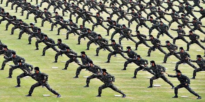 大陆军,历史、现状和未来展望,大陆军,历史沿革、现状解析与未来展望