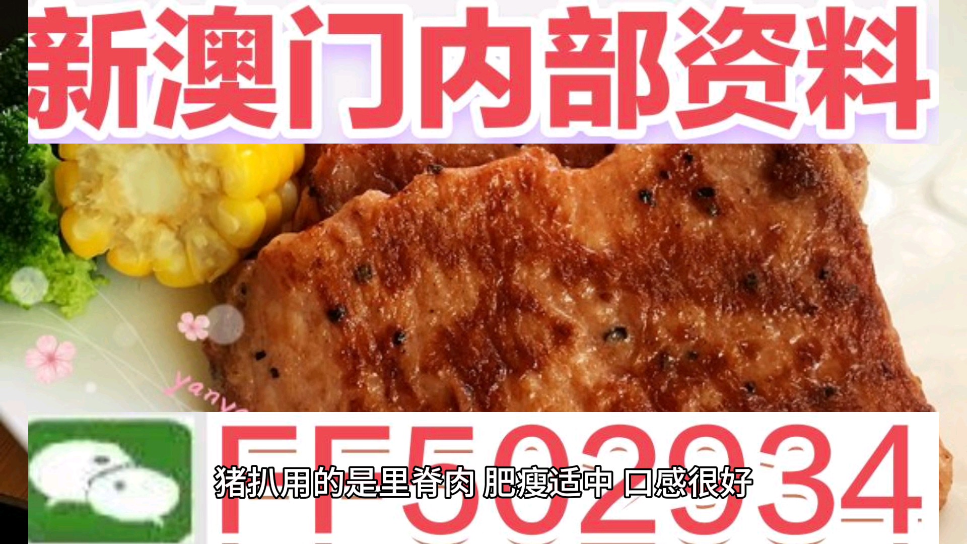 澳门特马今晚开奖49，探索彩票背后的文化与社会影响，澳门特马今晚开奖49，彩票背后的文化与社会影响探索