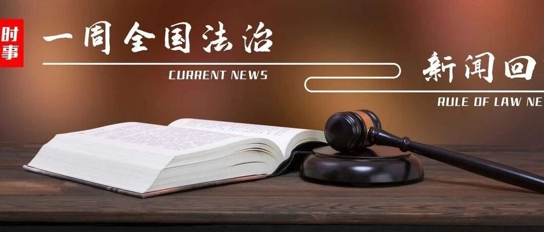 法律角度评析国际时事新闻，法律视角下的国际时事新闻深度解析