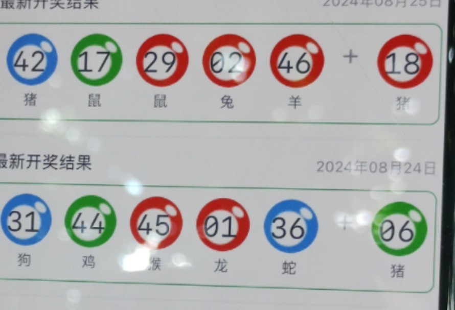 新澳门一肖一码，探索与解读，新澳门一肖一码，解读与探索之旅