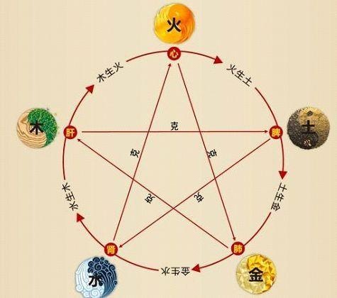 铁算算盘488 7最准资料，揭秘神秘预测背后的真相，揭秘铁算算盘488 7预测真相，探寻神秘资料背后的真相