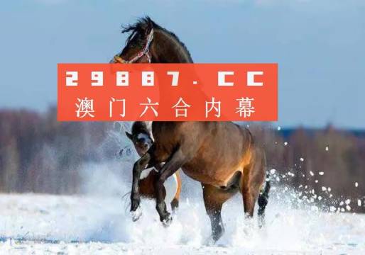 新澳门天天免费精准大全谜语解析与探索，澳门天天免费精准谜语解析与探索之旅