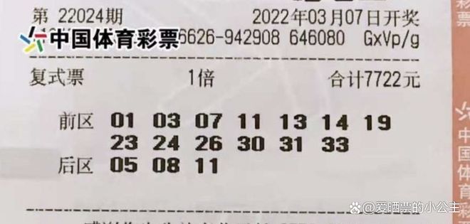 新澳2025天天开好彩开大乐透，梦想与希望的光芒，新澳2025梦想与希望之光，天天好彩乐透开启新篇章