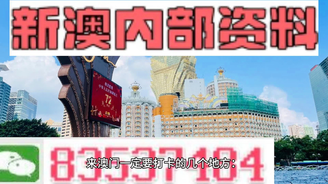 澳门正版资料免费最新资料，探索与解读，澳门正版资料最新解读，免费探索最新资讯