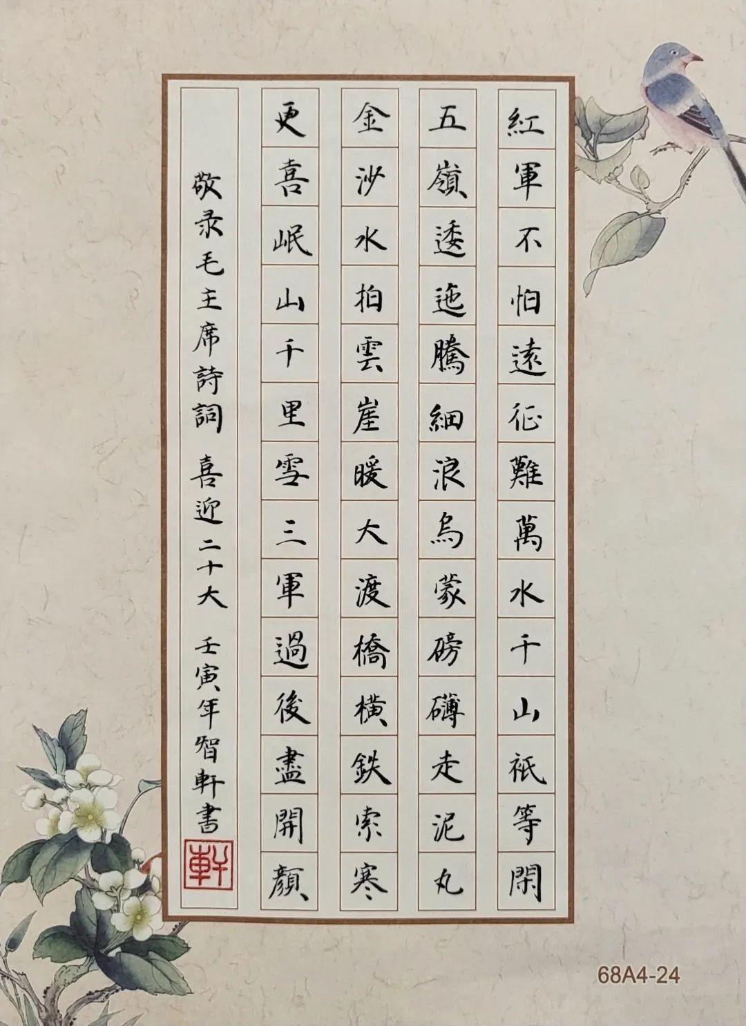 歼-20纸飞机，探索航空梦想的独特载体，歼-20纸飞机，航空梦想的独特探索之旅