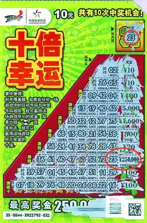 王中王平特一肖好彩头——探寻成功背后的秘密,王中王平特一肖好彩头,成功背后的秘密探寻